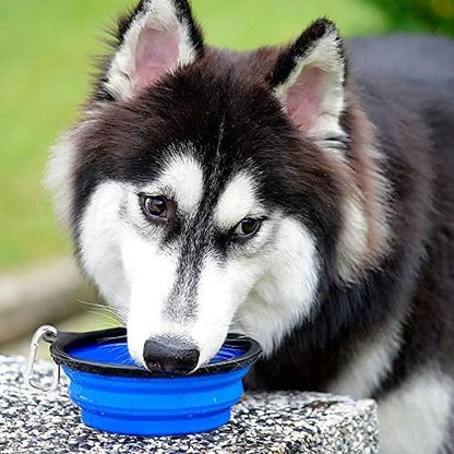 Large Collapsible Dog Bowls 2 Pack, 34Oz Foldable Dog Travel Bowl, Portable Dog Water Food Bowl with Clasp, Pet Cat Feeding Cup Dish for Traveling, Walking, Parking (Blue+Green)