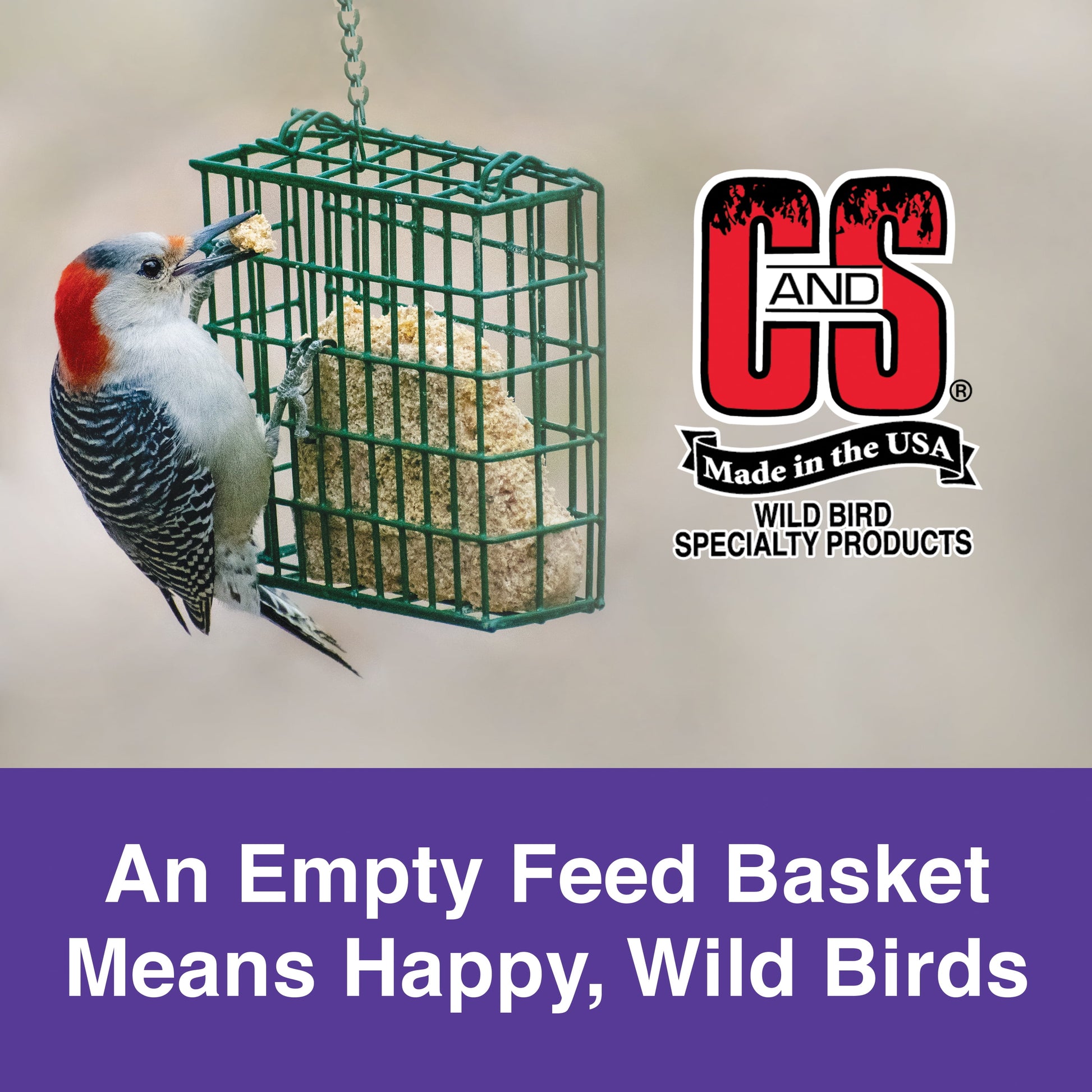 Berry Treat Suet, 11.75 Oz, Wild Bird Food, Fresh, 1 Pack