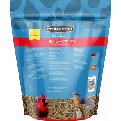 Mealworms, Bluebird and Wild Bird Food, 2 Lb. Bag, 1 Pack, Dry