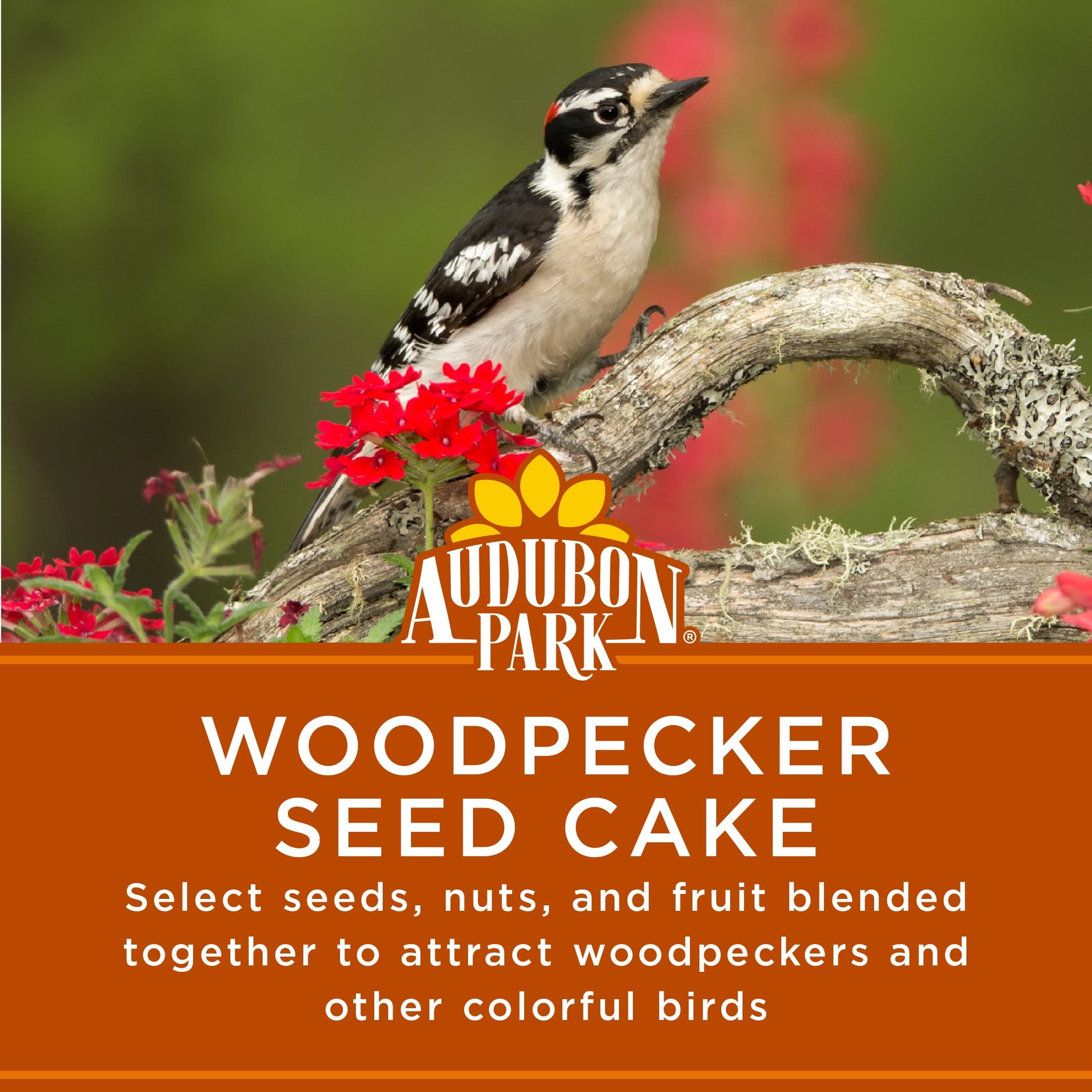 Woodpecker Seed Cake Wild Bird Food, Pressed Seed Block, 24 Oz.