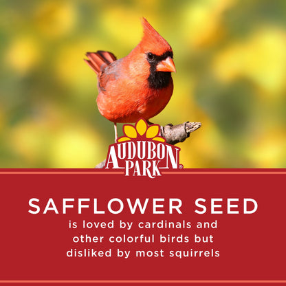 Safflower Seed Wild Bird Food, Dry, 1 Count per Pack, 5 Lb. Bag