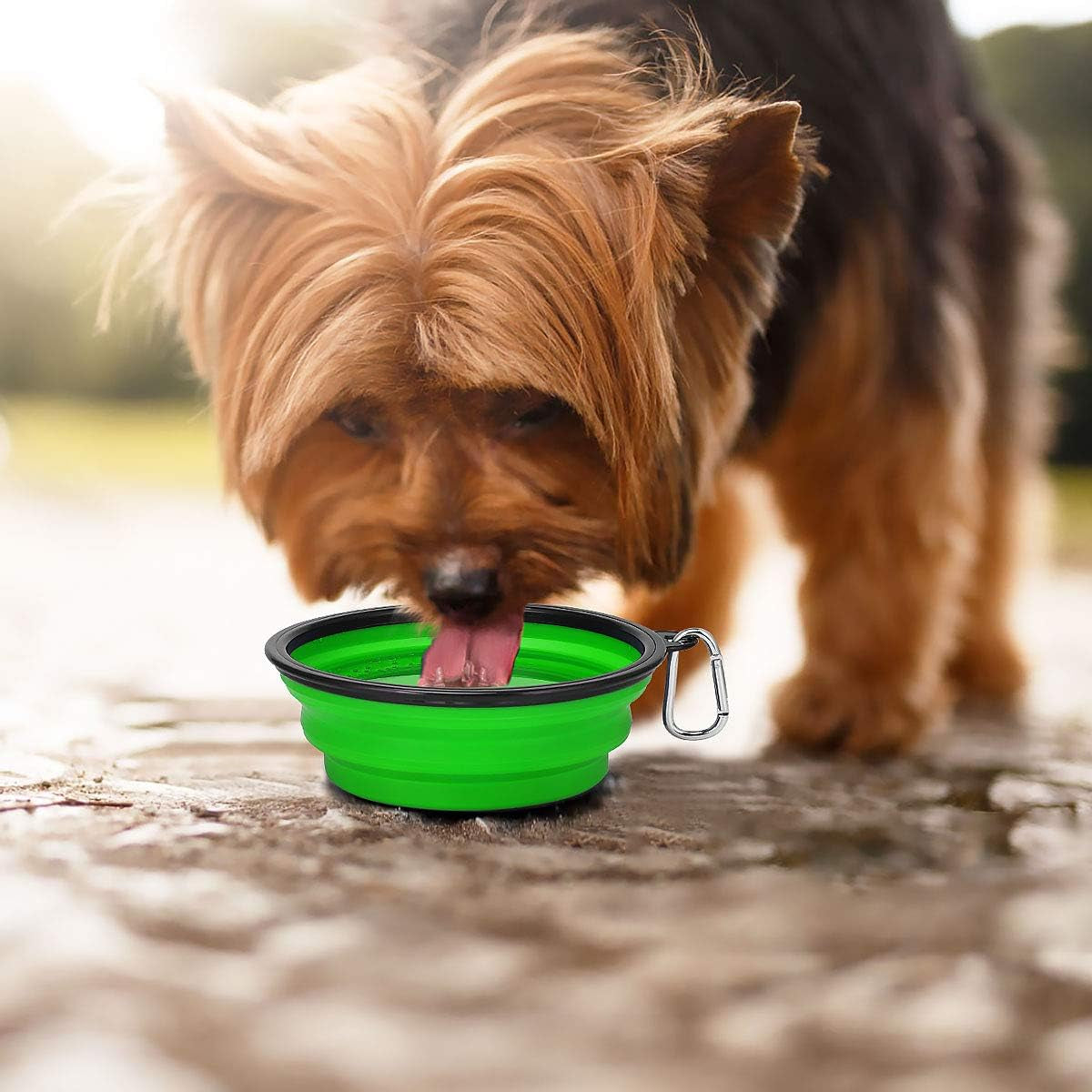 Large Collapsible Dog Bowls 2 Pack, 34Oz Foldable Dog Travel Bowl, Portable Dog Water Food Bowl with Clasp, Pet Cat Feeding Cup Dish for Traveling, Walking, Parking (Blue+Green)