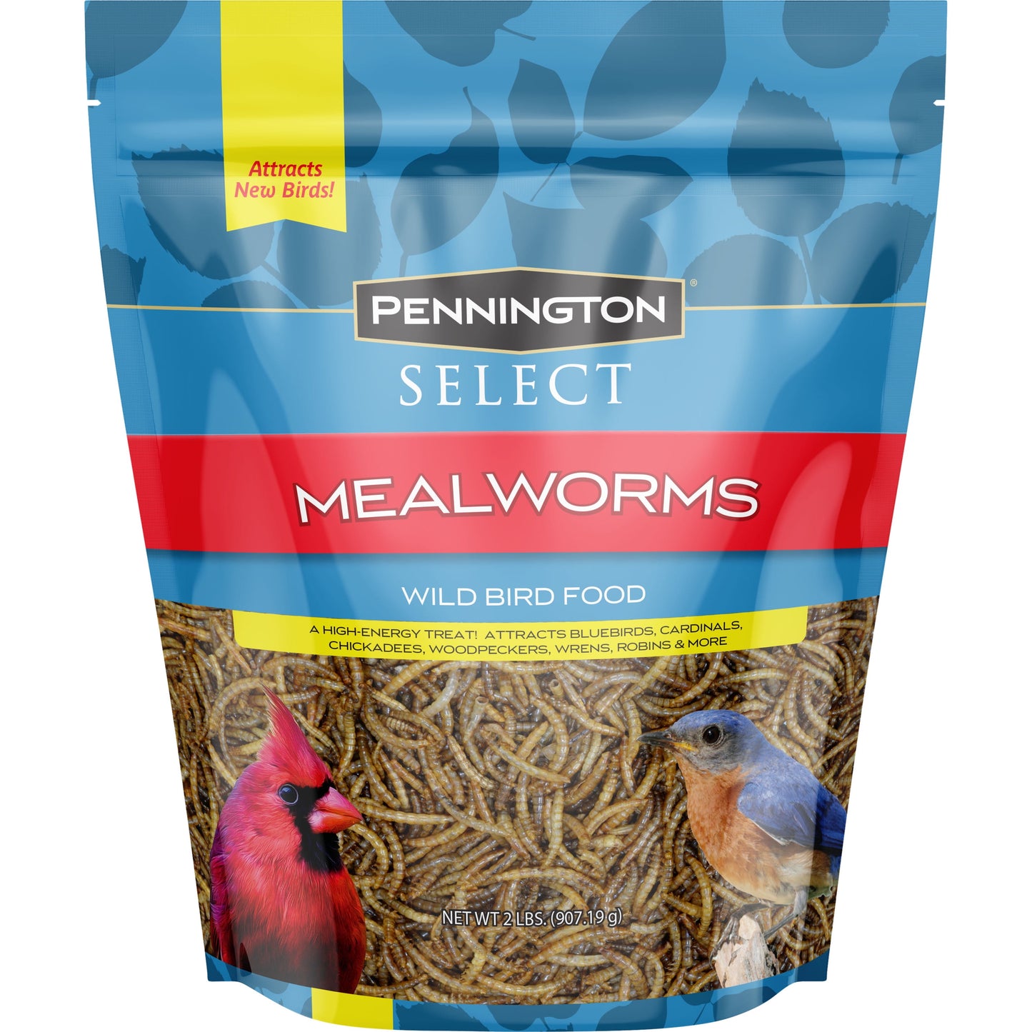 Mealworms, Bluebird and Wild Bird Food, 2 Lb. Bag, 1 Pack, Dry