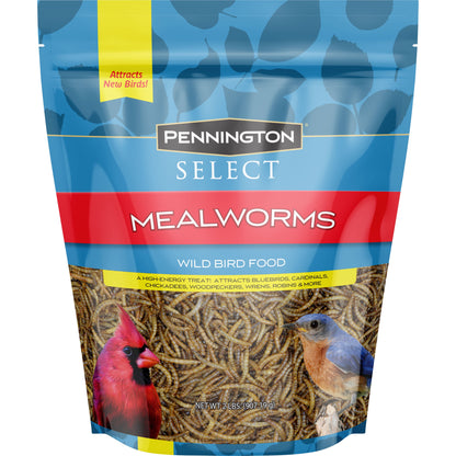 Mealworms, Bluebird and Wild Bird Food, 2 Lb. Bag, 1 Pack, Dry