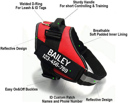 Personalised Dog Harness