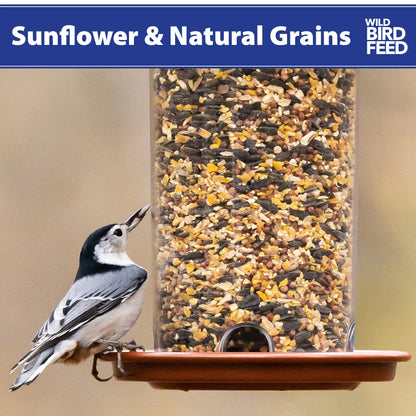 Sunflower & Grains Wild Bird Feed, Dry, 1 Count per Pack, 5 Lb. Bag